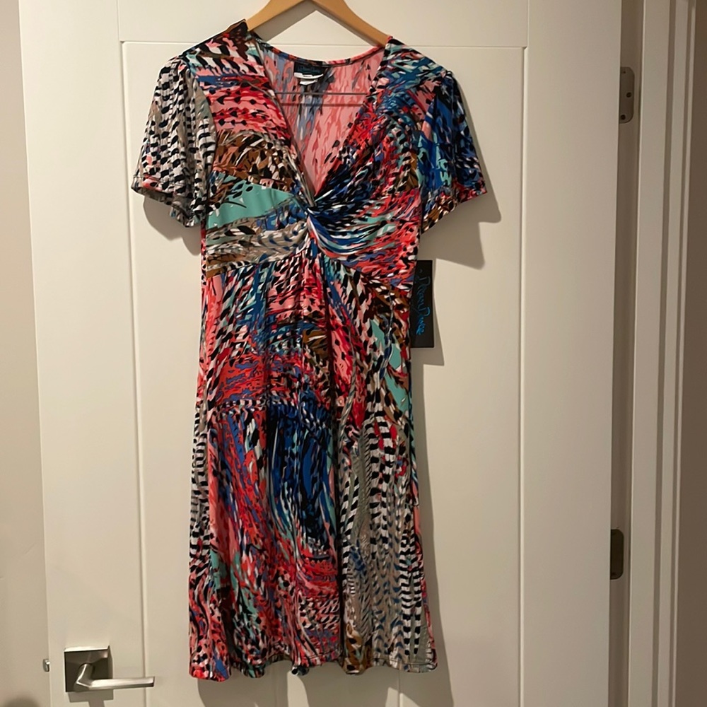 Dream Dance dress NWT